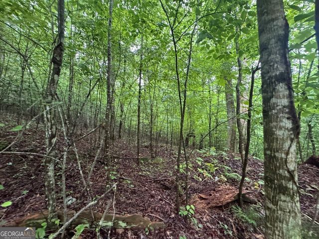 1.23 AC Bear Run Circle 101,117-9, Ellijay, GA 30540