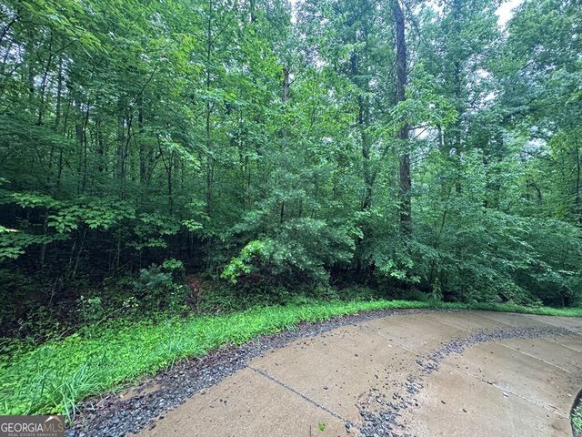 1.23 AC Bear Run Circle 101,117-9, Ellijay, GA 30540