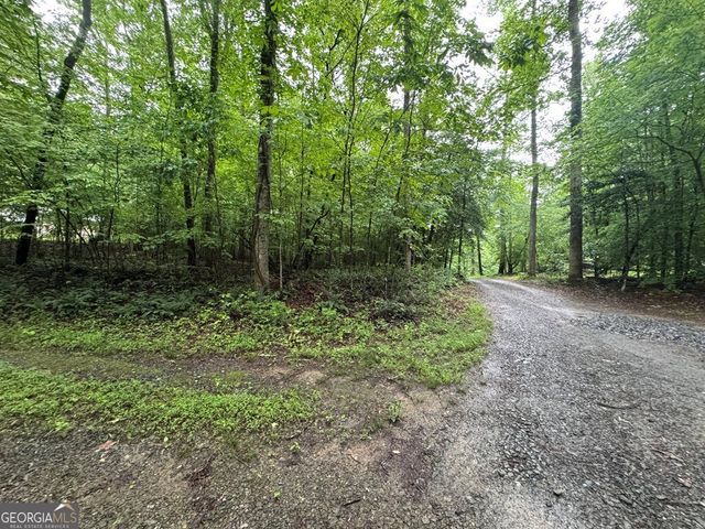 1.23 AC Bear Run Circle 101,117-9, Ellijay, GA 30540