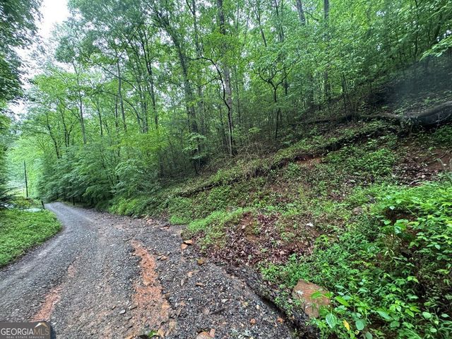 1.23 AC Bear Run Circle 101,117-9, Ellijay, GA 30540