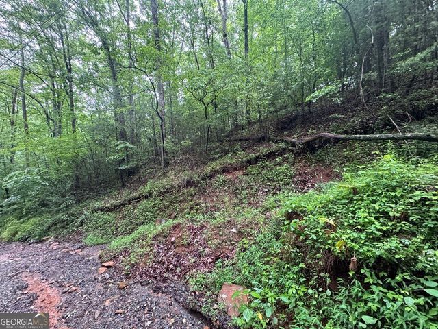 1.23 AC Bear Run Circle 101,117-9, Ellijay, GA 30540