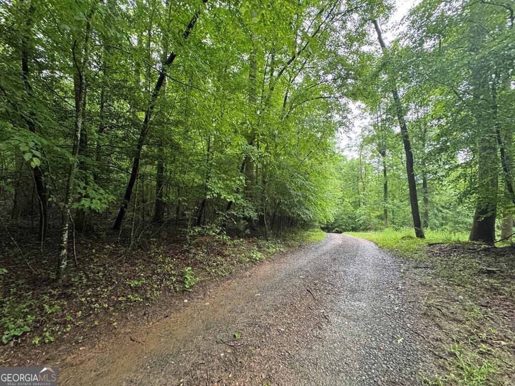 1.23 AC Bear Run Circle 101,117-9, Ellijay, GA 30540