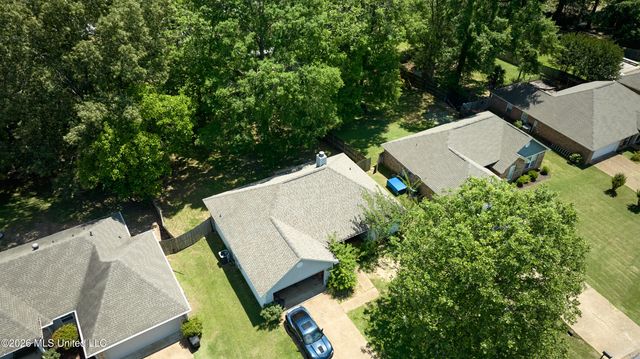 246 Cherry Bark Drive, Brandon, MS 39047
