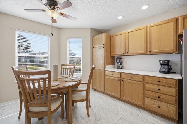 1919 TREADWELL TERRACE, The Villages, FL 32162