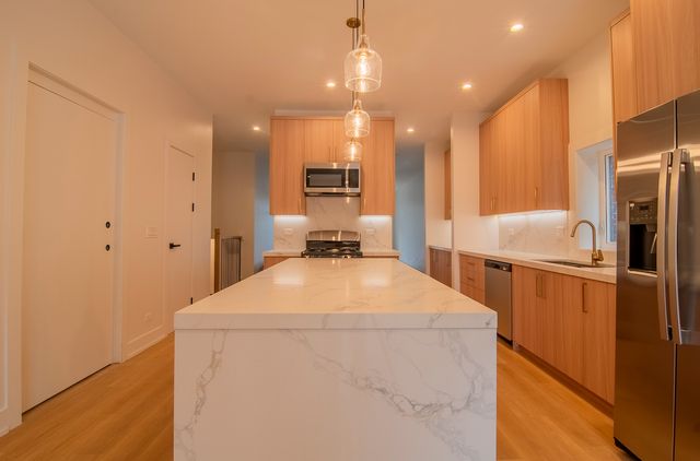 2042 W Washington Boulevard 1E, Chicago, IL 60612