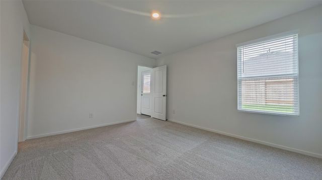 21518 Willow River Canyon Lane, Waller, TX 77484