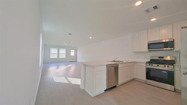 21518 Willow River Canyon Lane, Waller, TX 77484