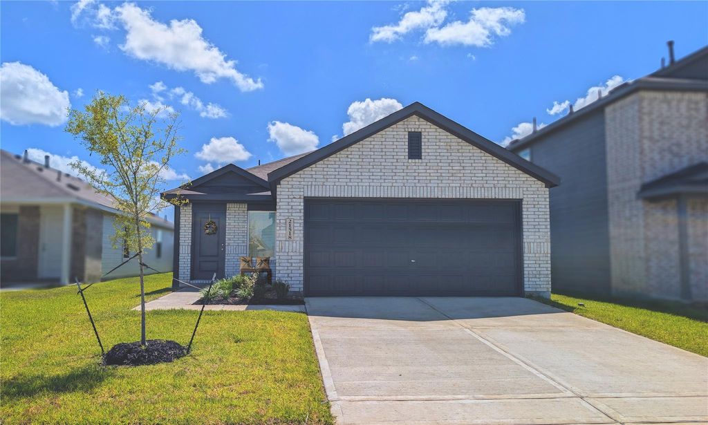 21518 Willow River Canyon Lane, Waller, TX 77484