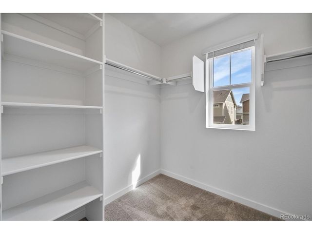 6234 Wild Rye St, Loveland, CO 80538