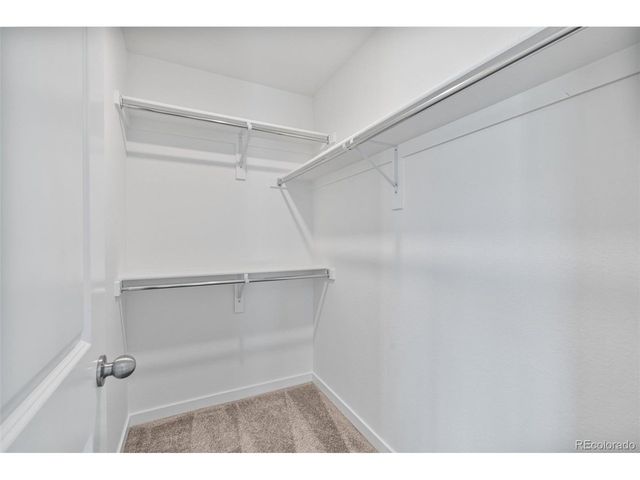 6234 Wild Rye St, Loveland, CO 80538