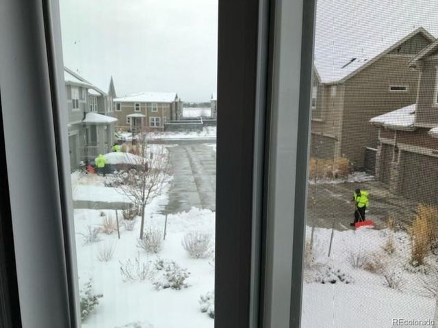 6234 Wild Rye St, Loveland, CO 80538