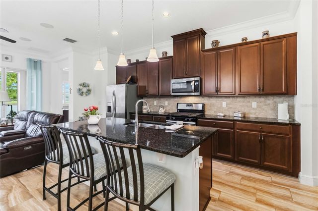 2489 DATURA LOOP, St Cloud, FL 34772