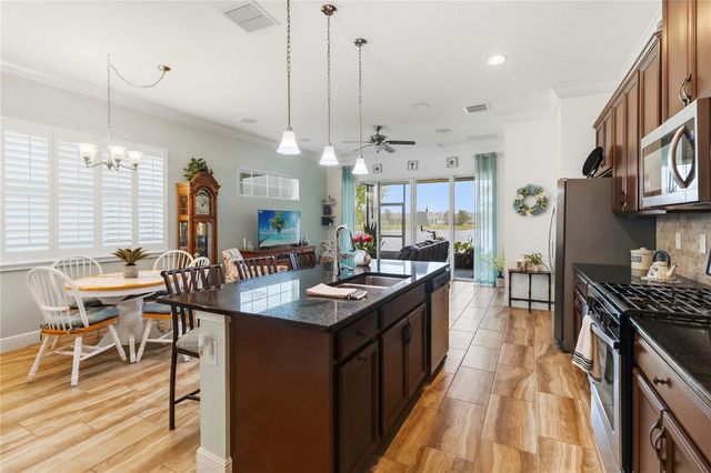 2489 DATURA LOOP, St Cloud, FL 34772