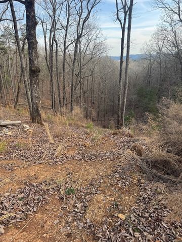 439 Buck Creek Road, Ellijay, GA 30540