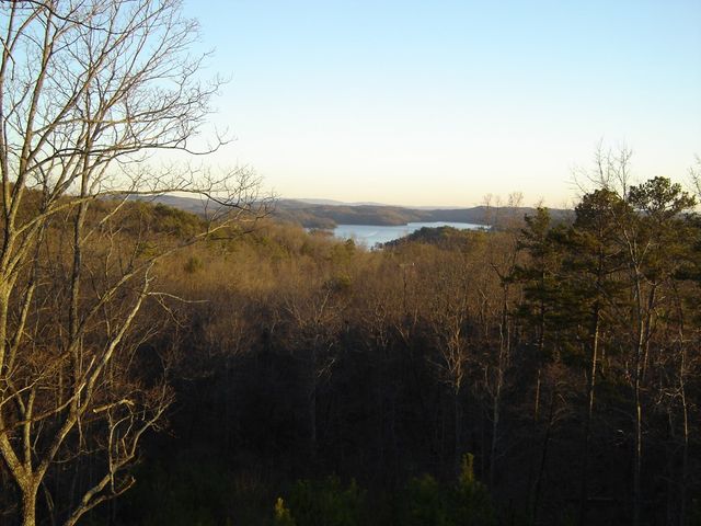 439 Buck Creek Road, Ellijay, GA 30540