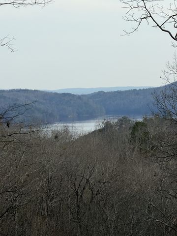 439 Buck Creek Road, Ellijay, GA 30540