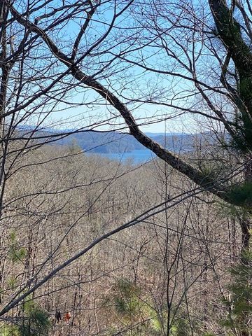 439 Buck Creek Road, Ellijay, GA 30540