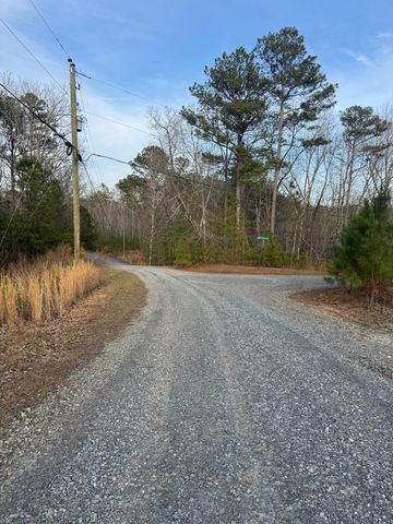 439 Buck Creek Road, Ellijay, GA 30540