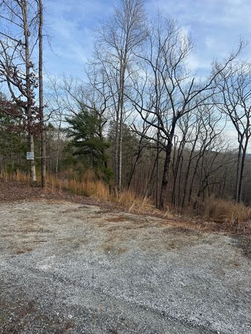 439 Buck Creek Road, Ellijay, GA 30540