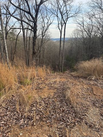 439 Buck Creek Road, Ellijay, GA 30540