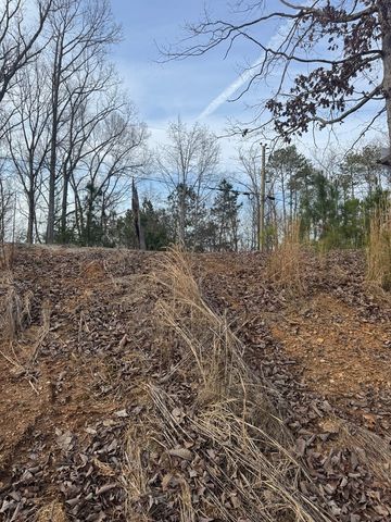 439 Buck Creek Road, Ellijay, GA 30540