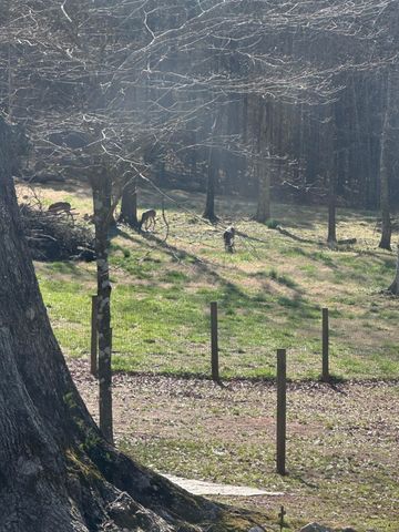 5111 Greensboro Rd, Washington, GA 30673