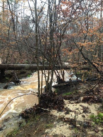 5111 Greensboro Rd, Washington, GA 30673