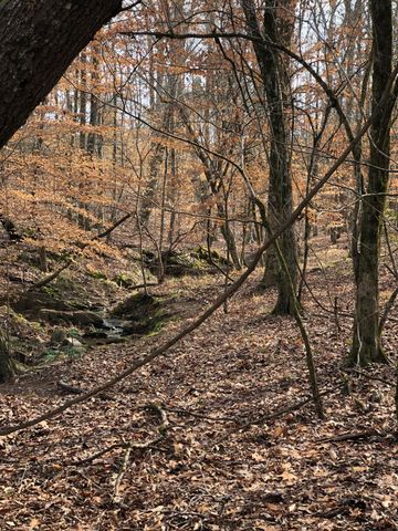 5111 Greensboro Rd, Washington, GA 30673