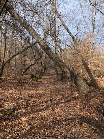 5111 Greensboro Rd, Washington, GA 30673