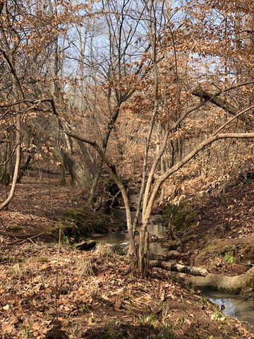 5111 Greensboro Rd, Washington, GA 30673