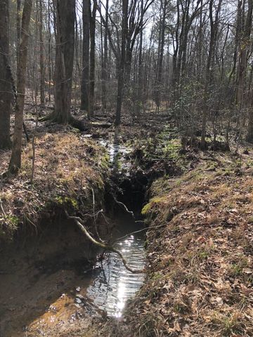 5111 Greensboro Rd, Washington, GA 30673