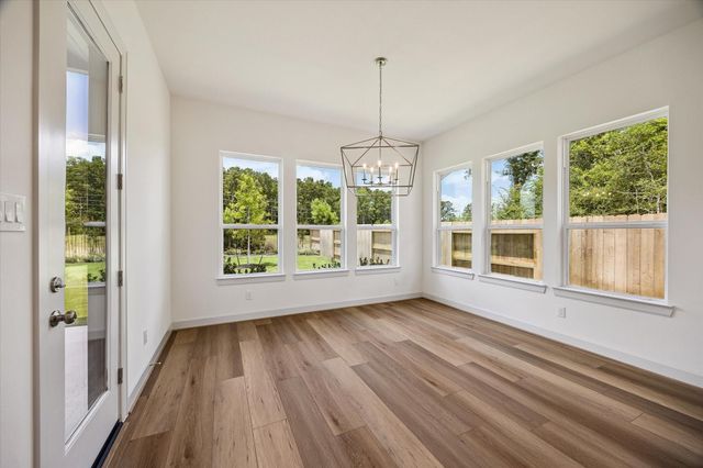 15910 Mango Tango Drive, Conroe, TX 77302