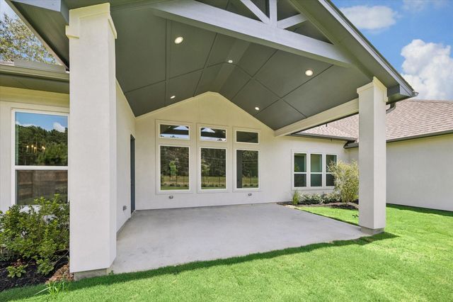 15910 Mango Tango Drive, Conroe, TX 77302
