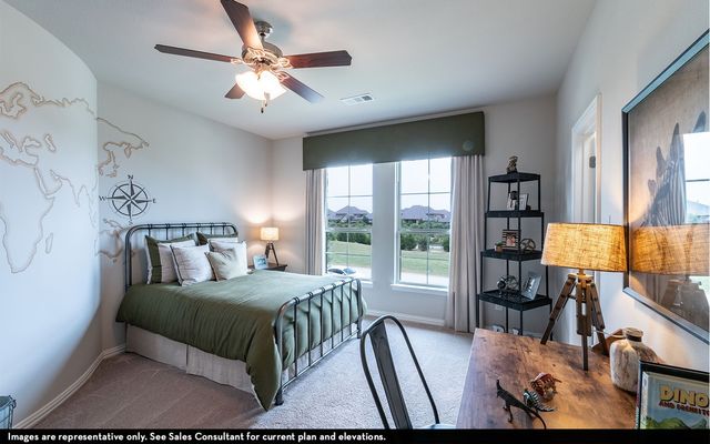 1423 Diamond Drive, St Paul, TX 75098