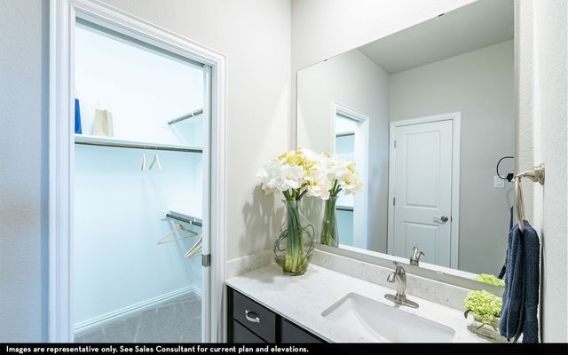 1423 Diamond Drive, St Paul, TX 75098