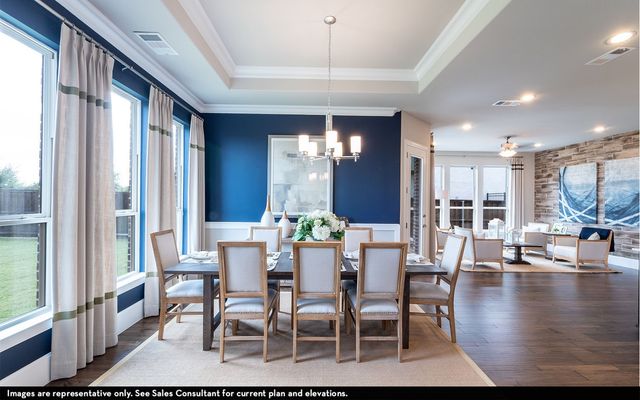 1423 Diamond Drive, St Paul, TX 75098