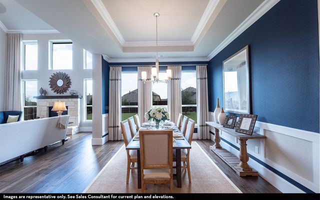 1423 Diamond Drive, St Paul, TX 75098