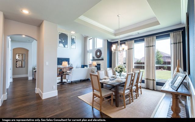 1423 Diamond Drive, St Paul, TX 75098