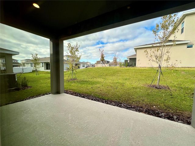 2299 JUNIPER BERRY AVENUE, Minneola, FL 34715