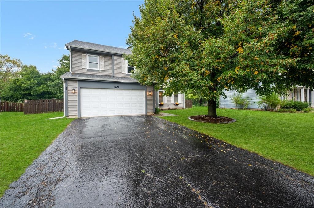 169 Park Meadow Lane, Bolingbrook, IL 60440 — photo 2