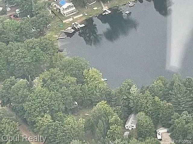 221 Bluegill Lake Road, Harrison, MI 48625