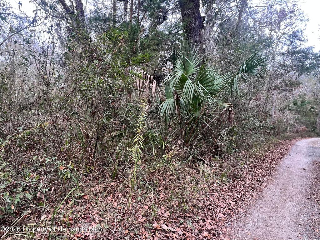 00 Budowski Road, Brooksville, FL 34614