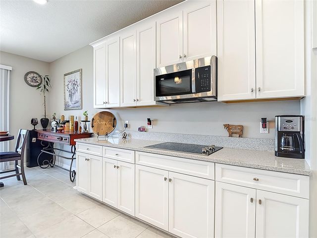 2881 MISTY MARBLE DRIVE, Zephyrhills, FL 33540