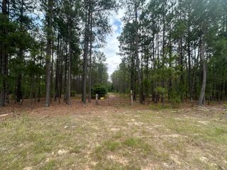 0 Chalk Bed Road, Graniteville, SC 29829