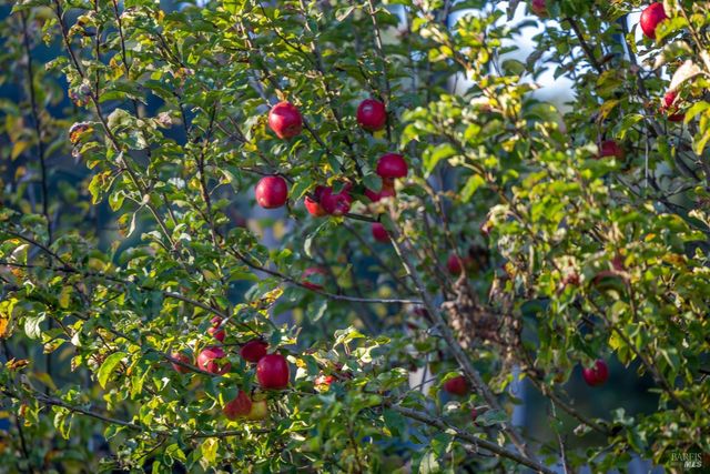 19204 Benson Ln, Fort Bragg, CA 95437