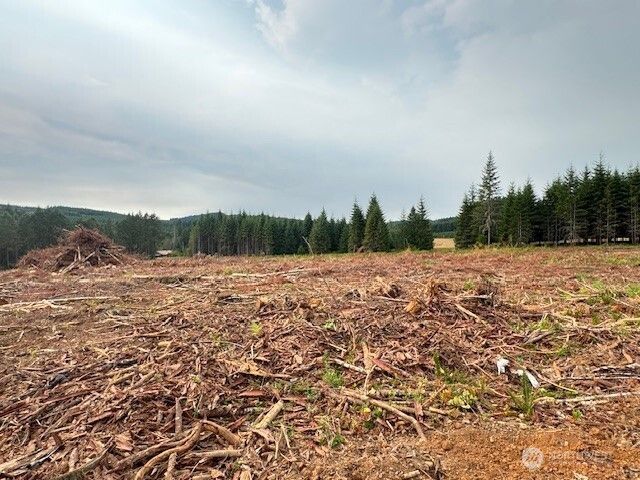 118 Woodberry Lane, Winlock, WA 98596