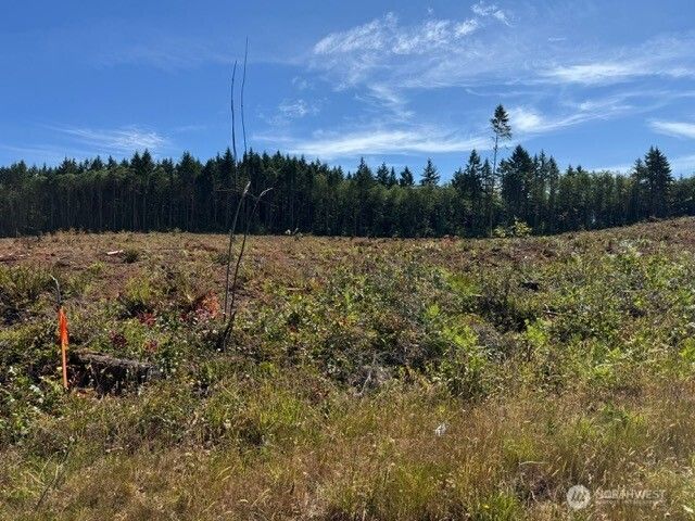 118 Woodberry Lane, Winlock, WA 98596