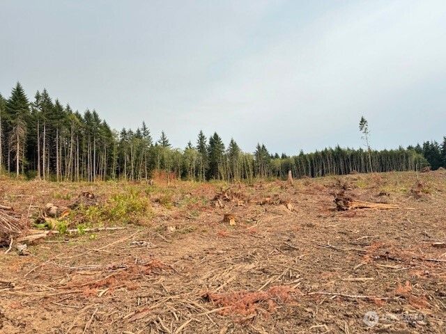 118 Woodberry Lane, Winlock, WA 98596