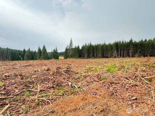 118 Woodberry Lane, Winlock, WA 98596