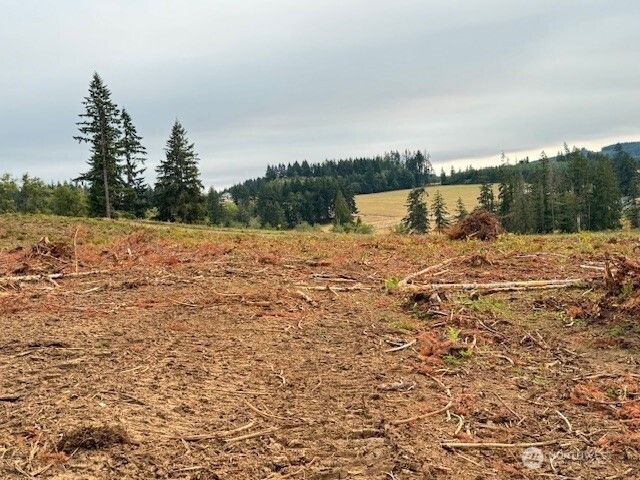 118 Woodberry Lane, Winlock, WA 98596